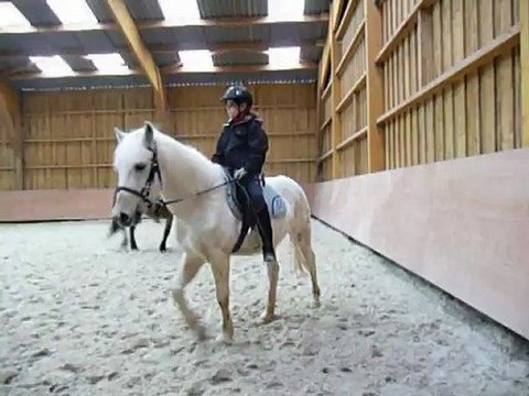 Les allures du cheval