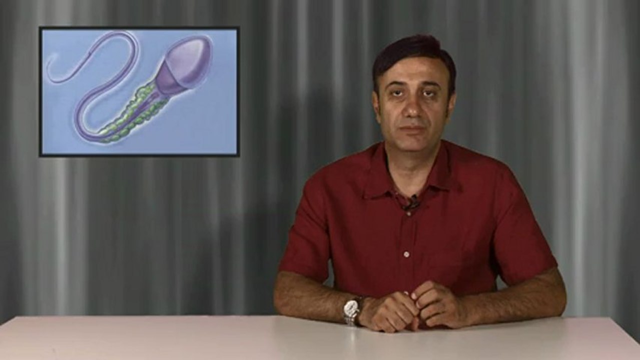 Tüp Bebekte IMSI yöntemi