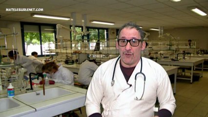 Après la viande de cheval dans le boeuf...la suite !