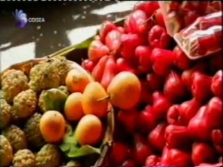 Frutas y evolucion de los primates: La vision del color