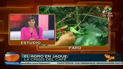 Nuestra lucha es justa: pequeños cafeteros colombianos