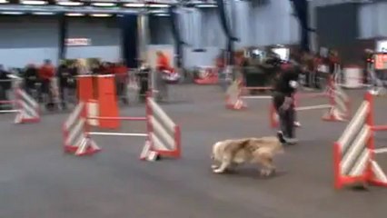 Chanel GPF Lisieux 24 02 2013