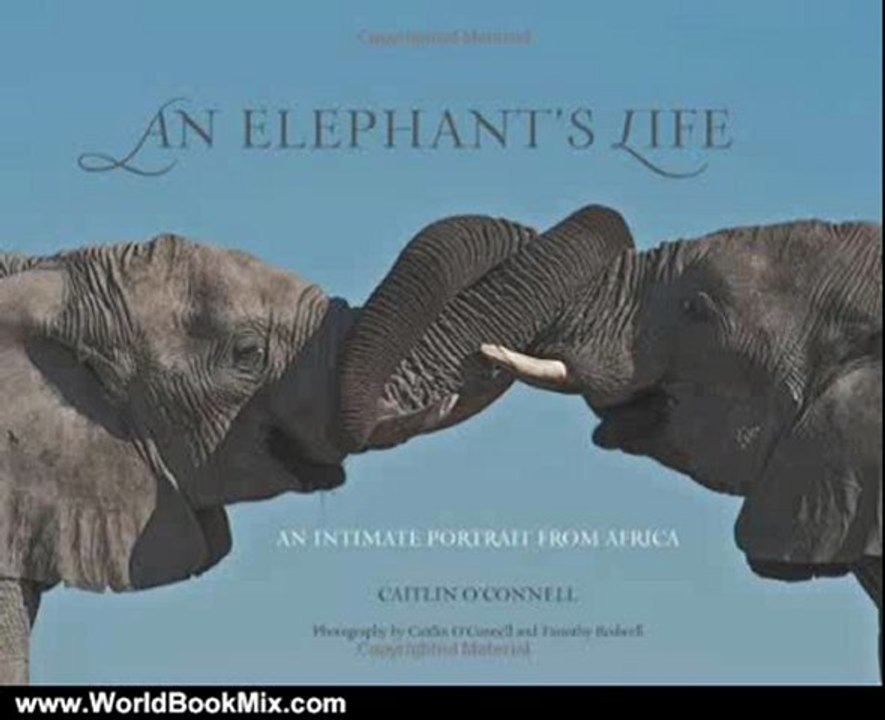 World Book Review: An Elephant's Life: An Intimate Portrait from Africa by Caitlin O'Connell