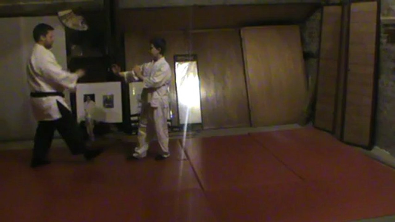 Ai hanmi morote dori : irimi nage kihon