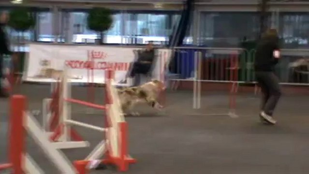 Chanel Jumping + 2013022418420