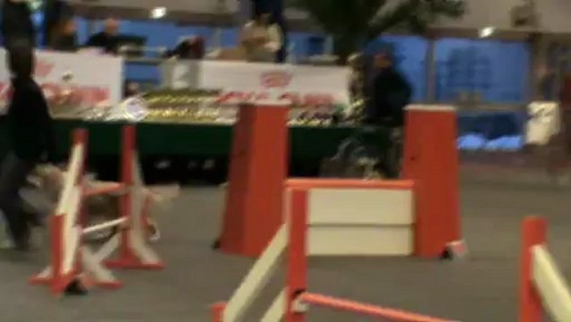 Chanel 3è degré Lisieux 24 02