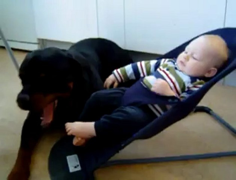 Bebek ve köpek 11