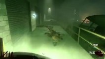 Black Ops 2 - Zombies Invincibility Glitch! (Tranzit/Survival Glitch)