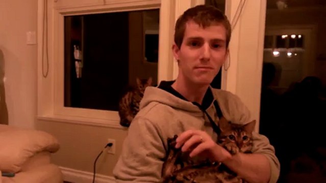 Covered in Bengal Cats Linus Cat Tips