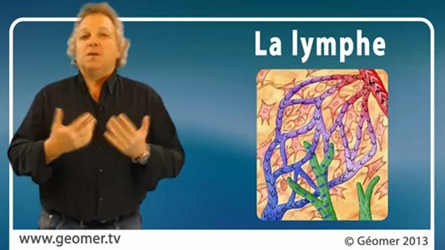 La Solution anti-calvitie par Géomer 100% garantie satisfait ou remboursé