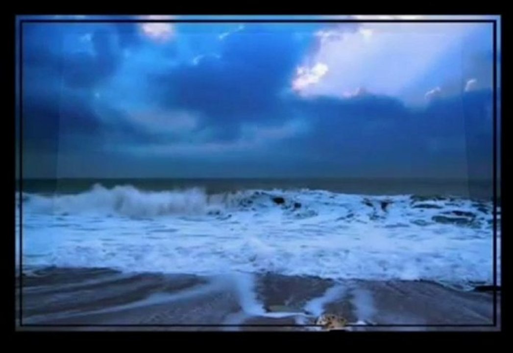 SEYDUNA TÜRKÜLERİ - SU BAKIŞLI GULE