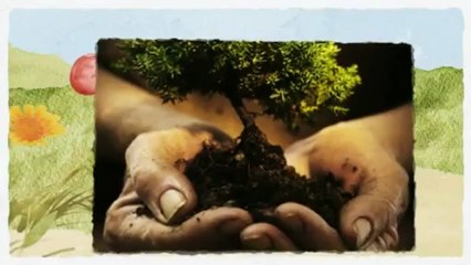 Healthy Trees , (623) 535-1597