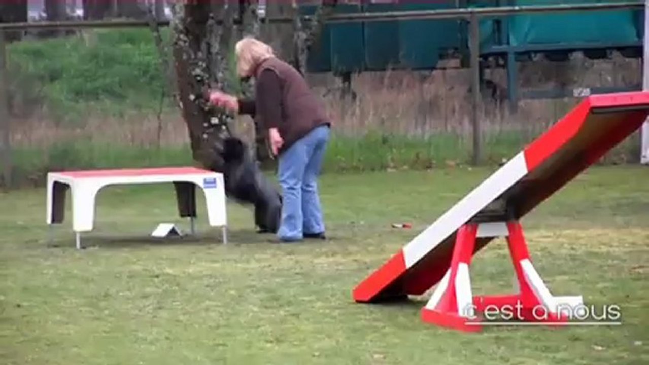 24 2 2013 concours bianca la teste