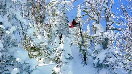 The Art of Flight 3D - Tráiler Español V.O.S.E HD [720p]