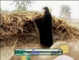 Dukh Roya Nayein Mukde, Naseebo Lal