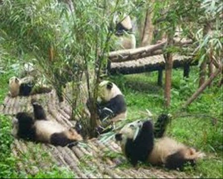 Chanson JE VIENS DU SUD