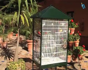 Sevilla - Apartamentos Patio de la Cartuja (Quehoteles.com)