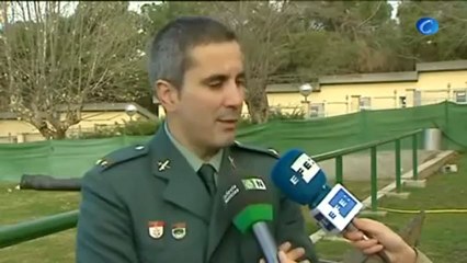 Cómo ganar medio millón de euros secuestrando a un galgo