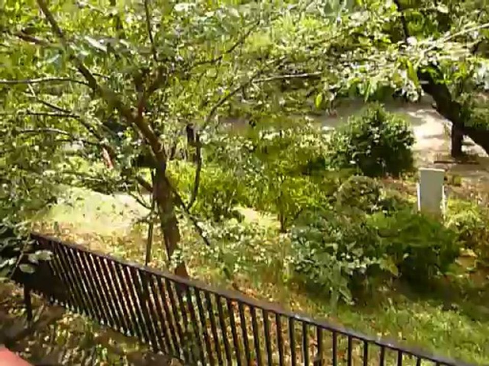 Chant des Cigales Japonaise 1 été 2012