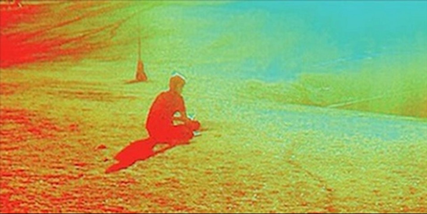 The Flameing Lips-Look........the sun is rising