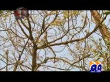 Geo FIR-27 Feb 2013-Part 3-Administrative problems increased “Grave” price