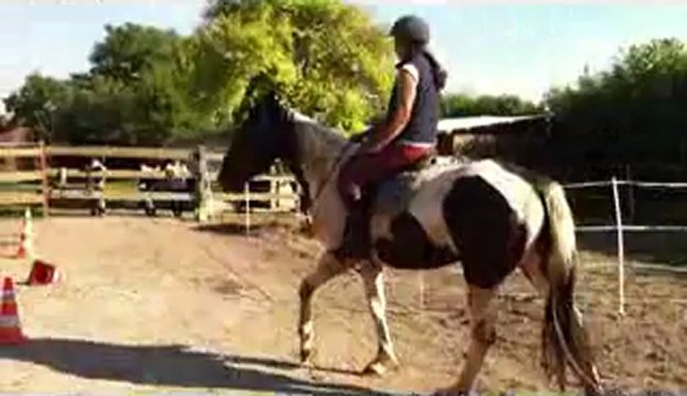 premiere séance sans mors