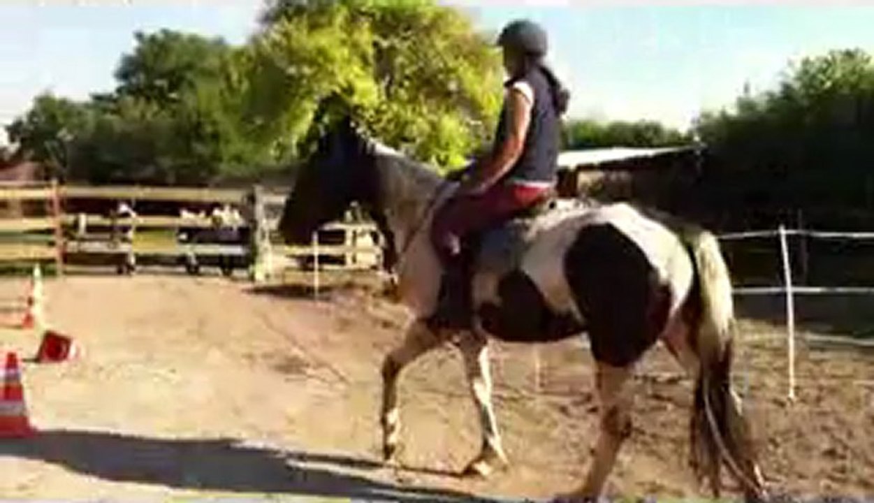 premiere séance sans mors