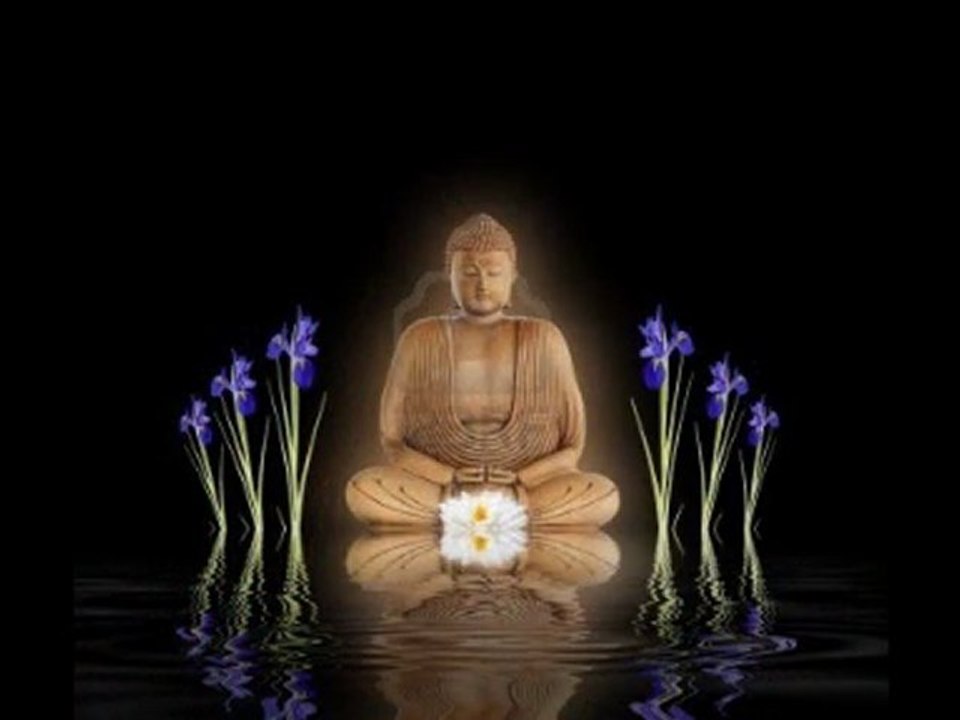 Buddha Bar-Golden Lotus