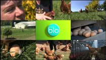 Minute Bio - Le bien être animal
