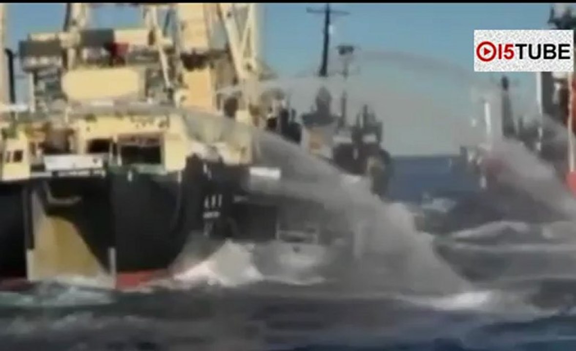 Navios que caçavam baleias batem em barco de ativistas