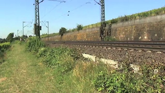 Züge bei Hattenheim, ERS 185, 155, Robel GKW 305, 152, 145, 2x Railion 185, 3x 427, 428