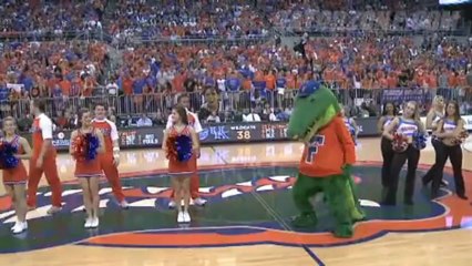 Gators da Harlem Shake kervanına katıldı