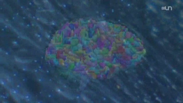 NDE/OBE - Aux frontières de la conscience - HD