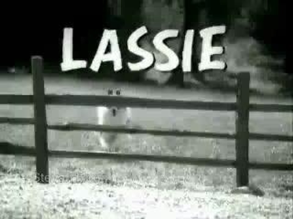 Lassie The Wonder Dog