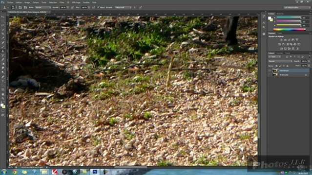 Adobe Photoshop CS5 et CS6 Outil tampon