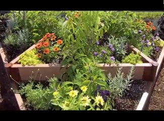 Gardening with Raised Beds