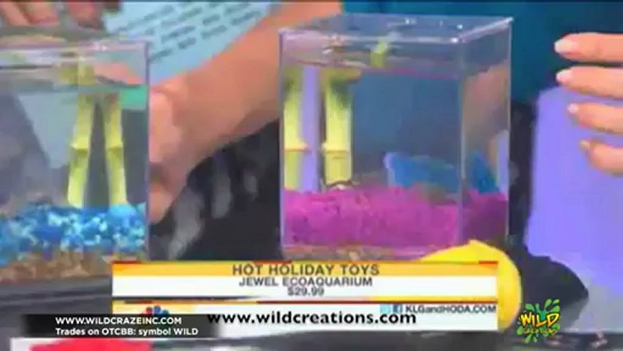 Wild Craze Corporate video
