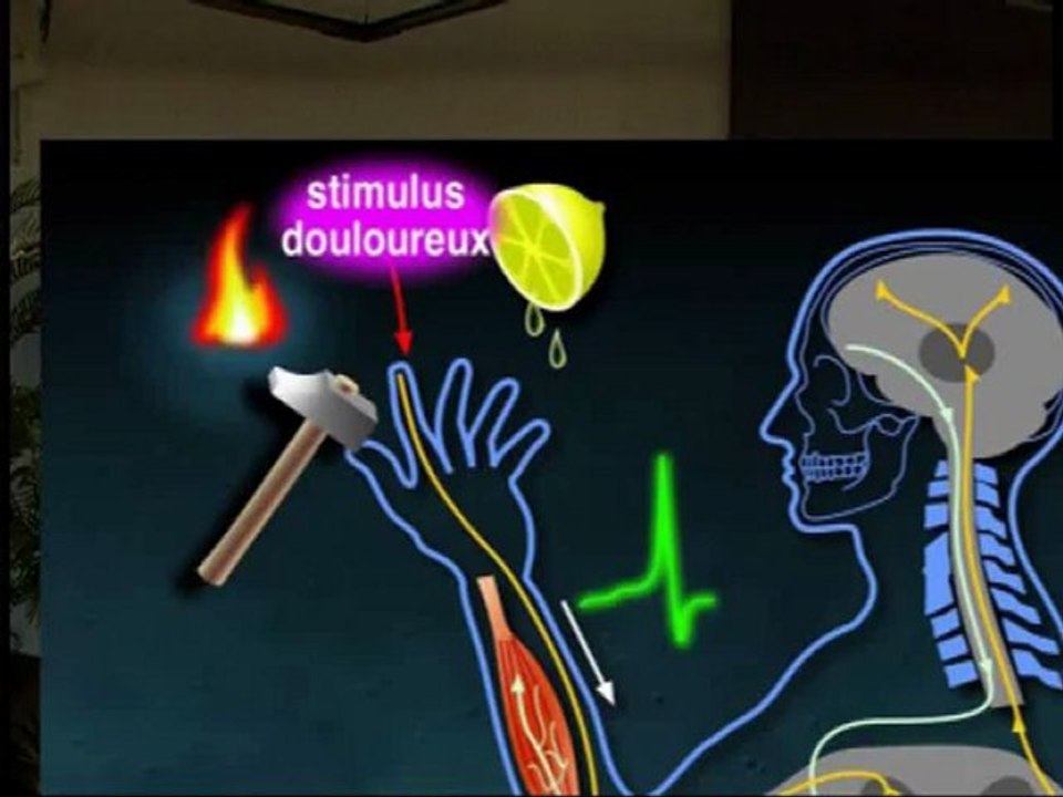 Conférence inaugurale de La Semaine du Cerveau 2009 par Michel LAZDUNSKI