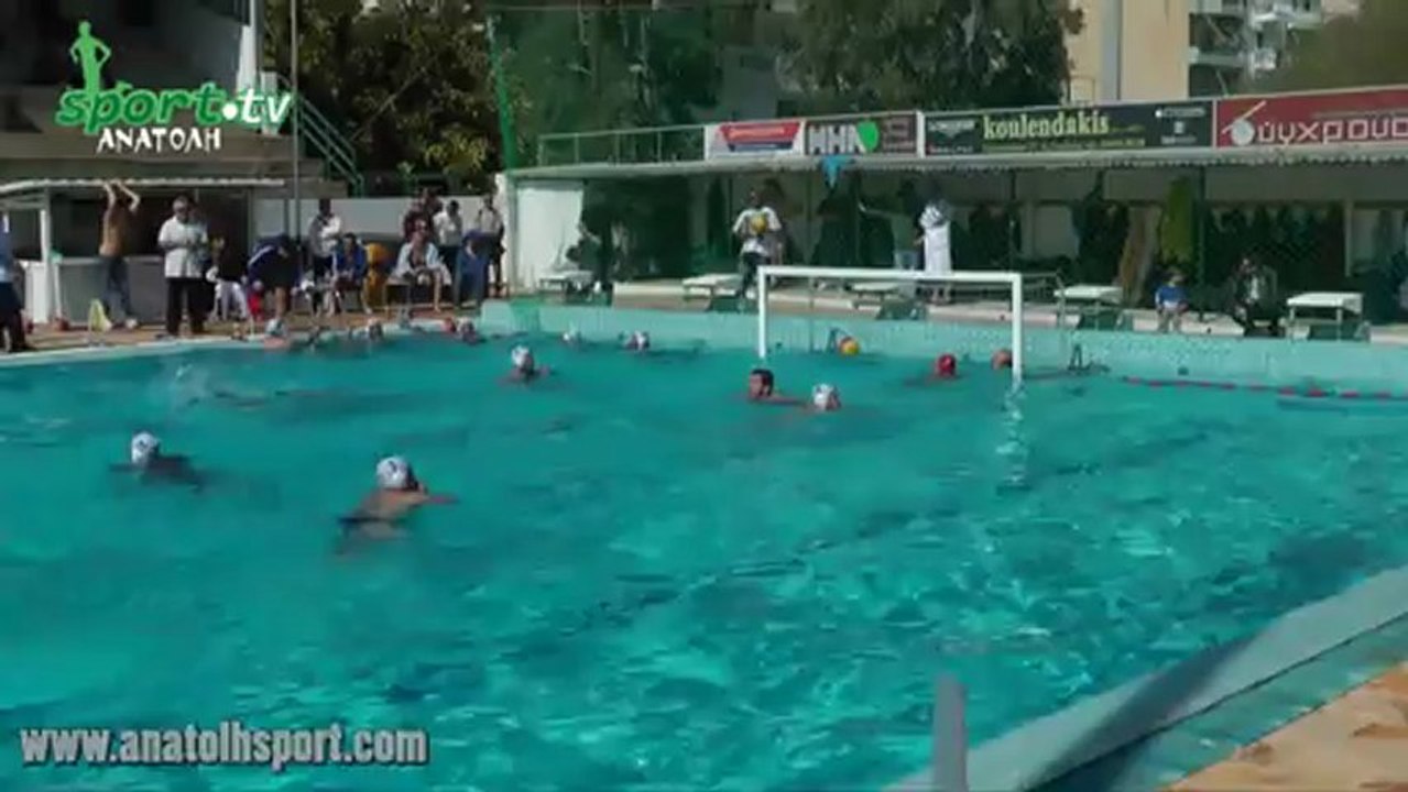 all-polo-1