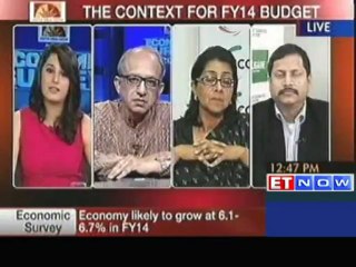 Industry Experts View on Economic Survey 2013