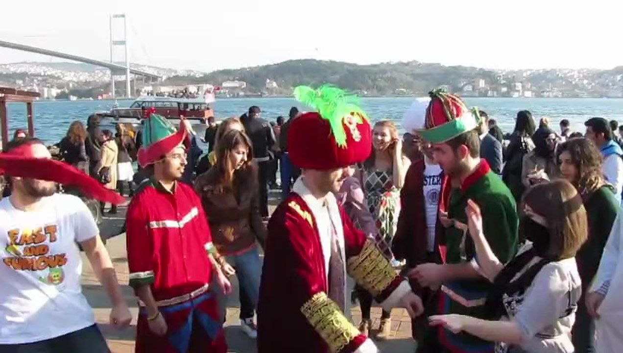 Harem Shake - istanbul