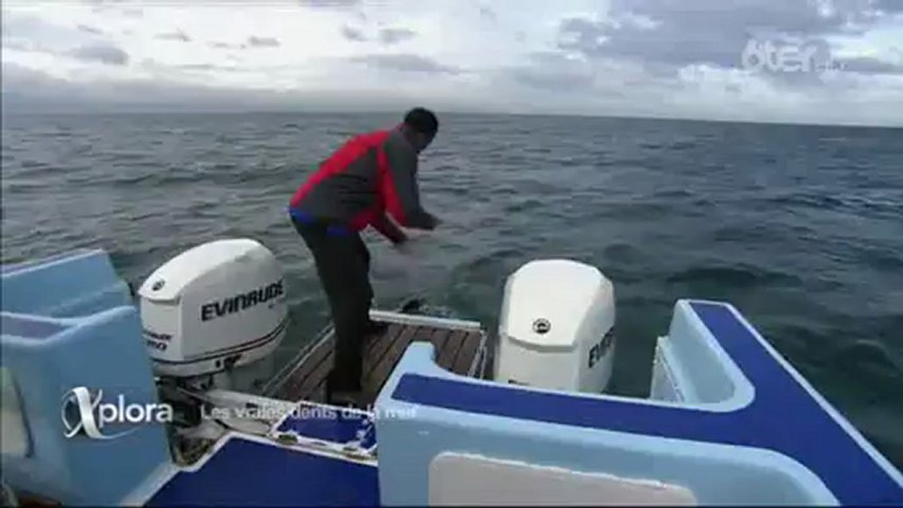 6ter - Xplora Les vraies dents de la mer - Partie 1 de 2