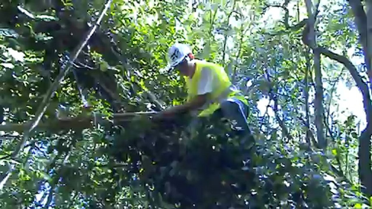 M2U01042