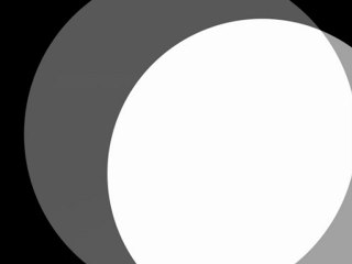 Bulle de Moi cherche sa perle rare