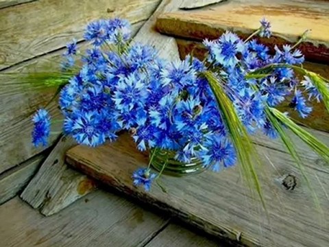 Dla Przyjaciół i Znajomych z NK