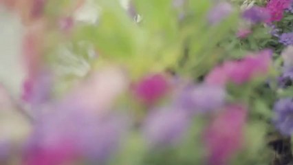 Faces! - Elina Krupskaya