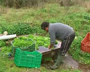 Τα αγαθά της υπαίθρου στο πιάτο του καταναλωτή
