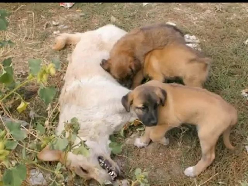 i have nothing nothing nothing