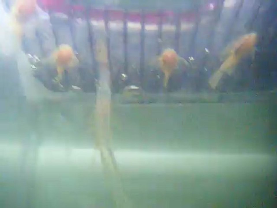 DSCF7189