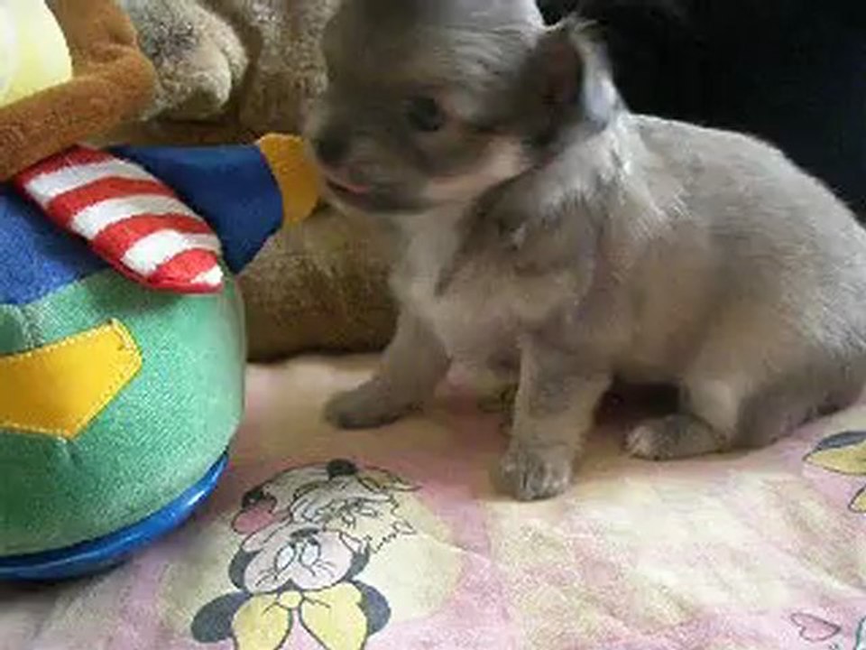 isula ses premiers jeux